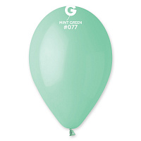 13 " пастель 77 м'ята   (G120)